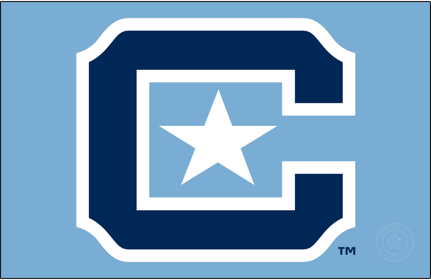 The Citadel Bulldogs 2021-Pres Primary Dark Logo DIY iron on transfer (heat transfer)